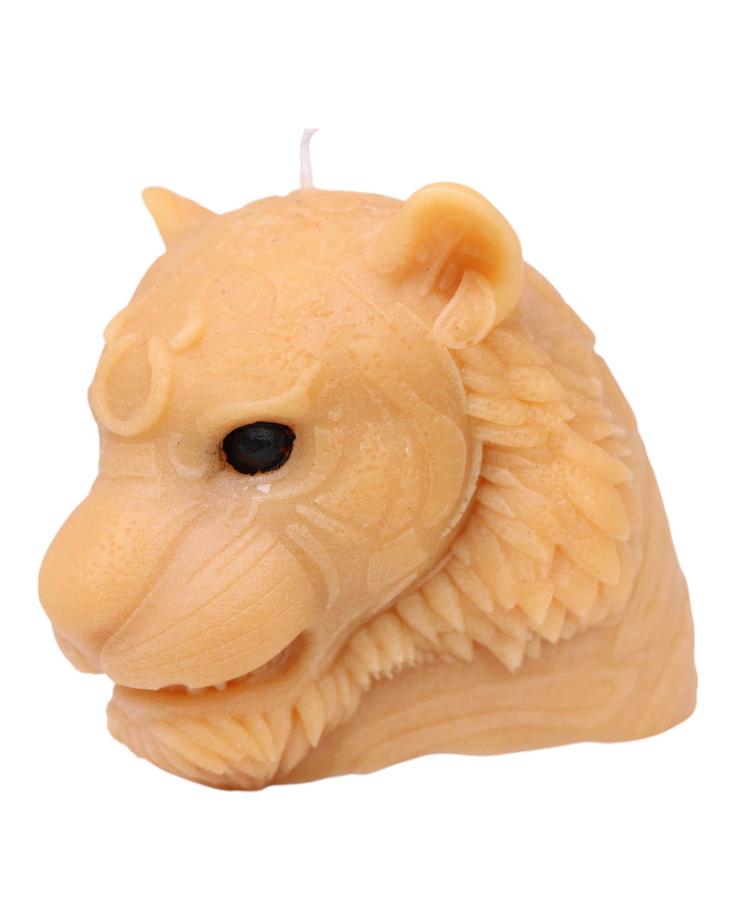 Tête de tigre
