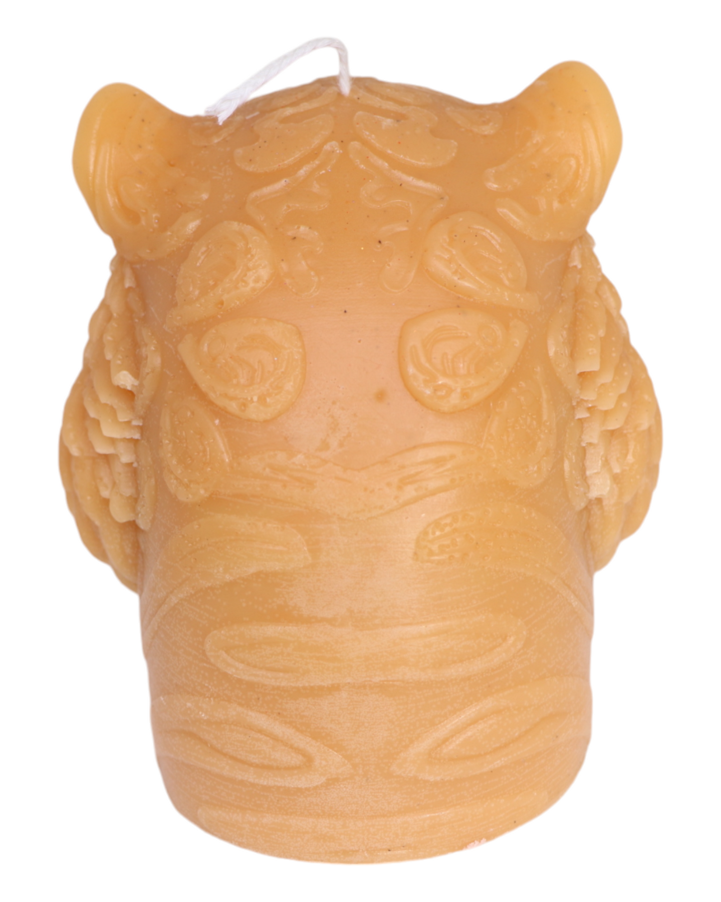 Tête de tigre