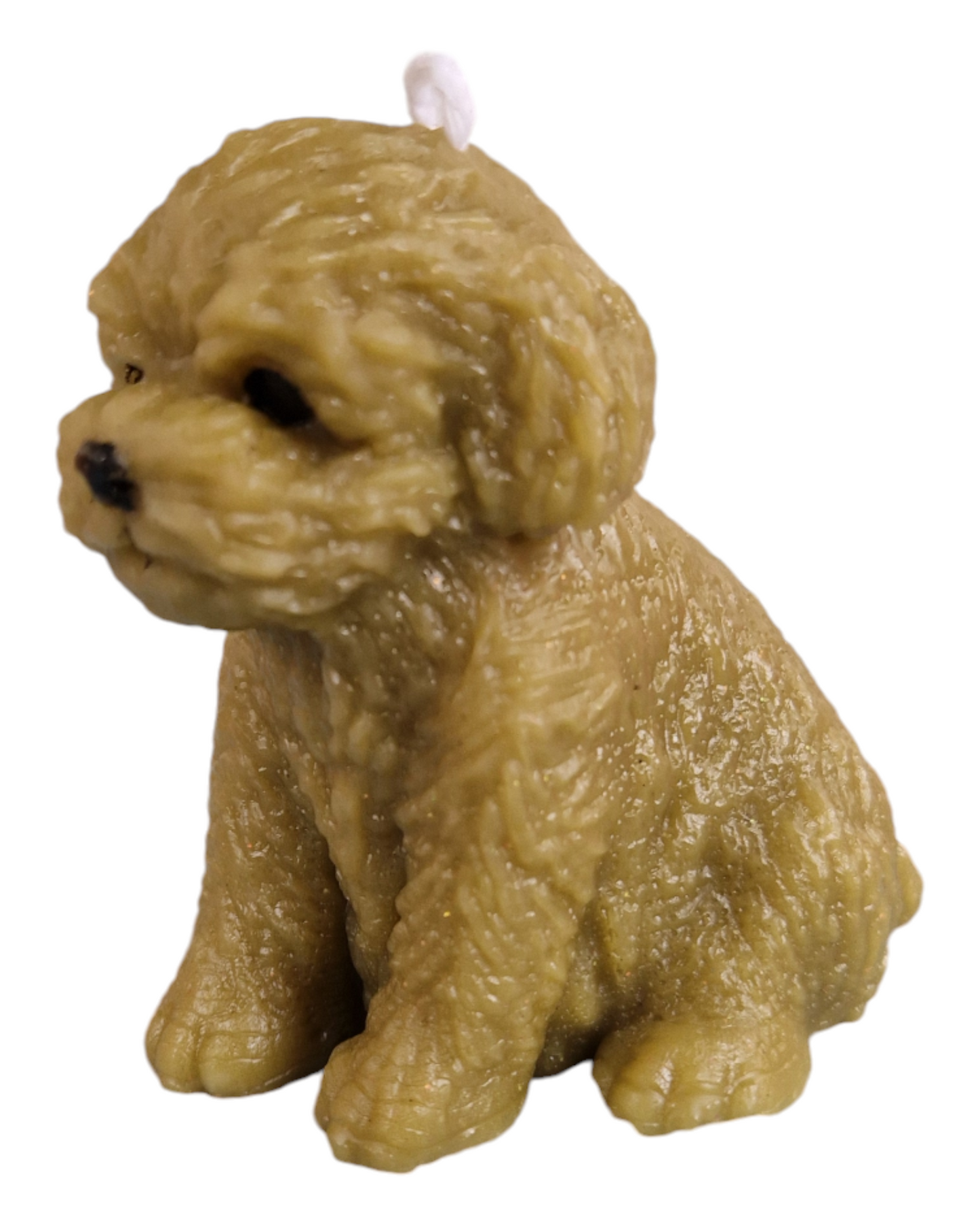 Petit chiot