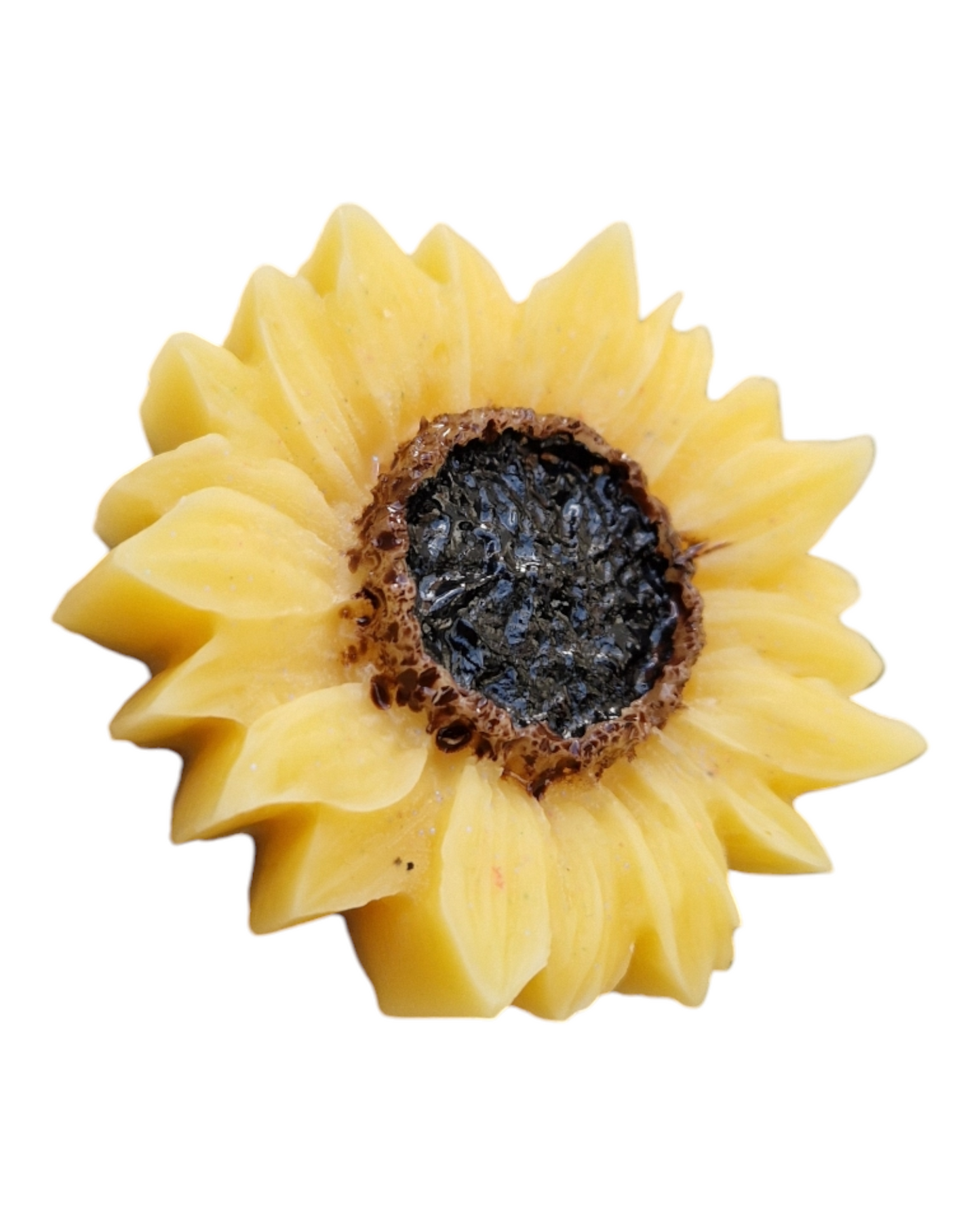 Tournesol