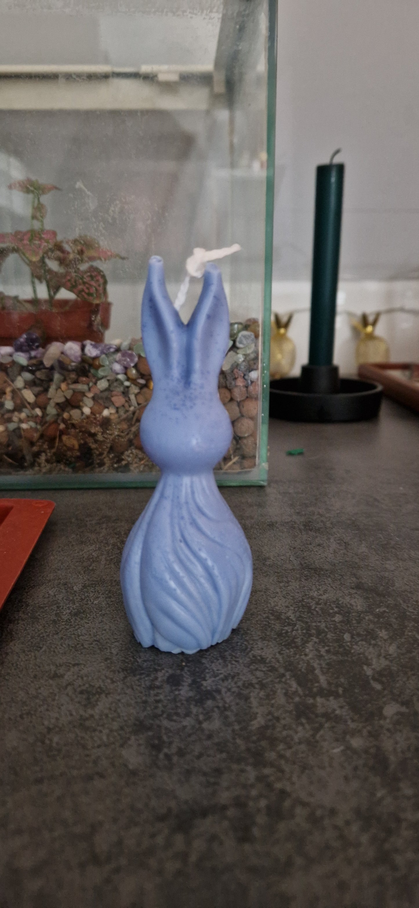 Petit lapin