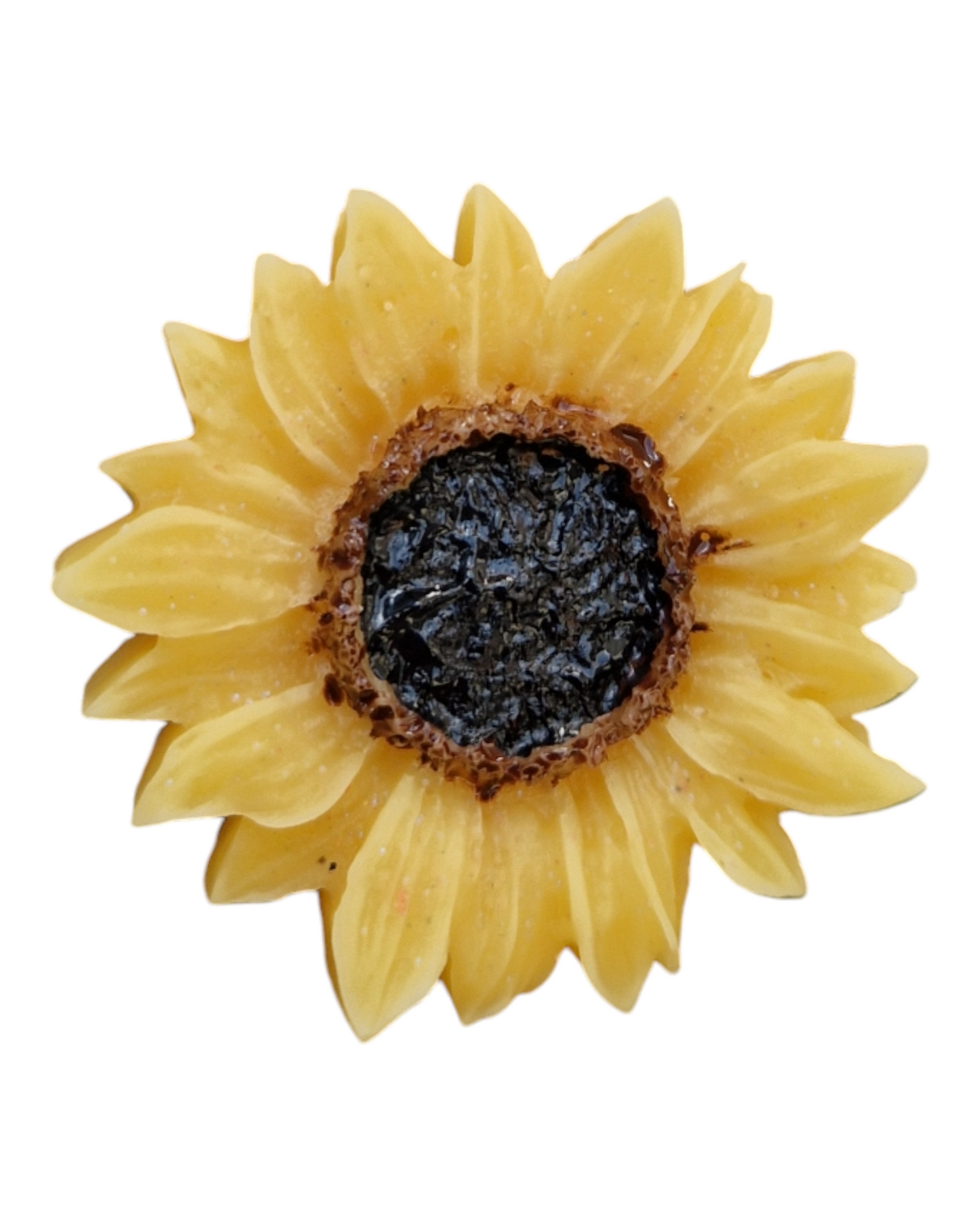 Tournesol