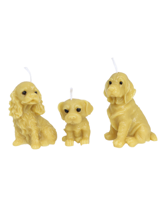 Les 3 chiots