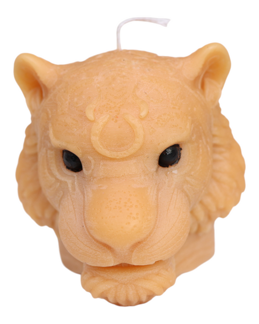 Tête de tigre