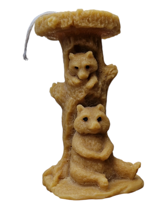Les ours