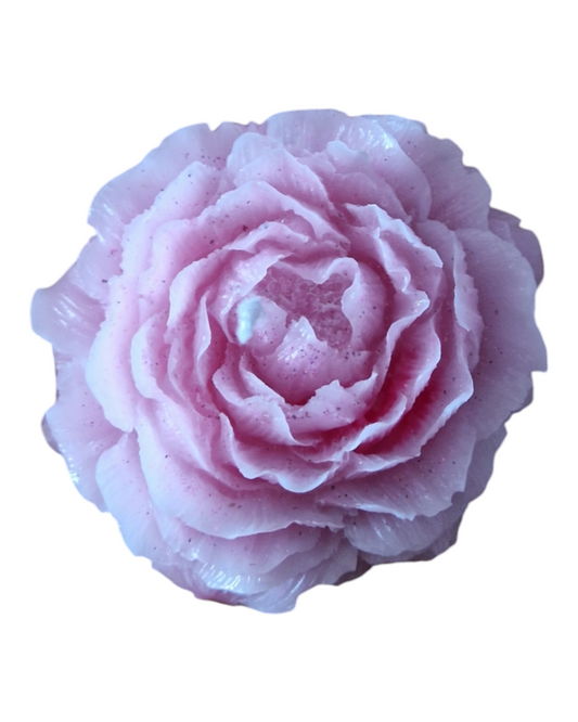 Pivoine