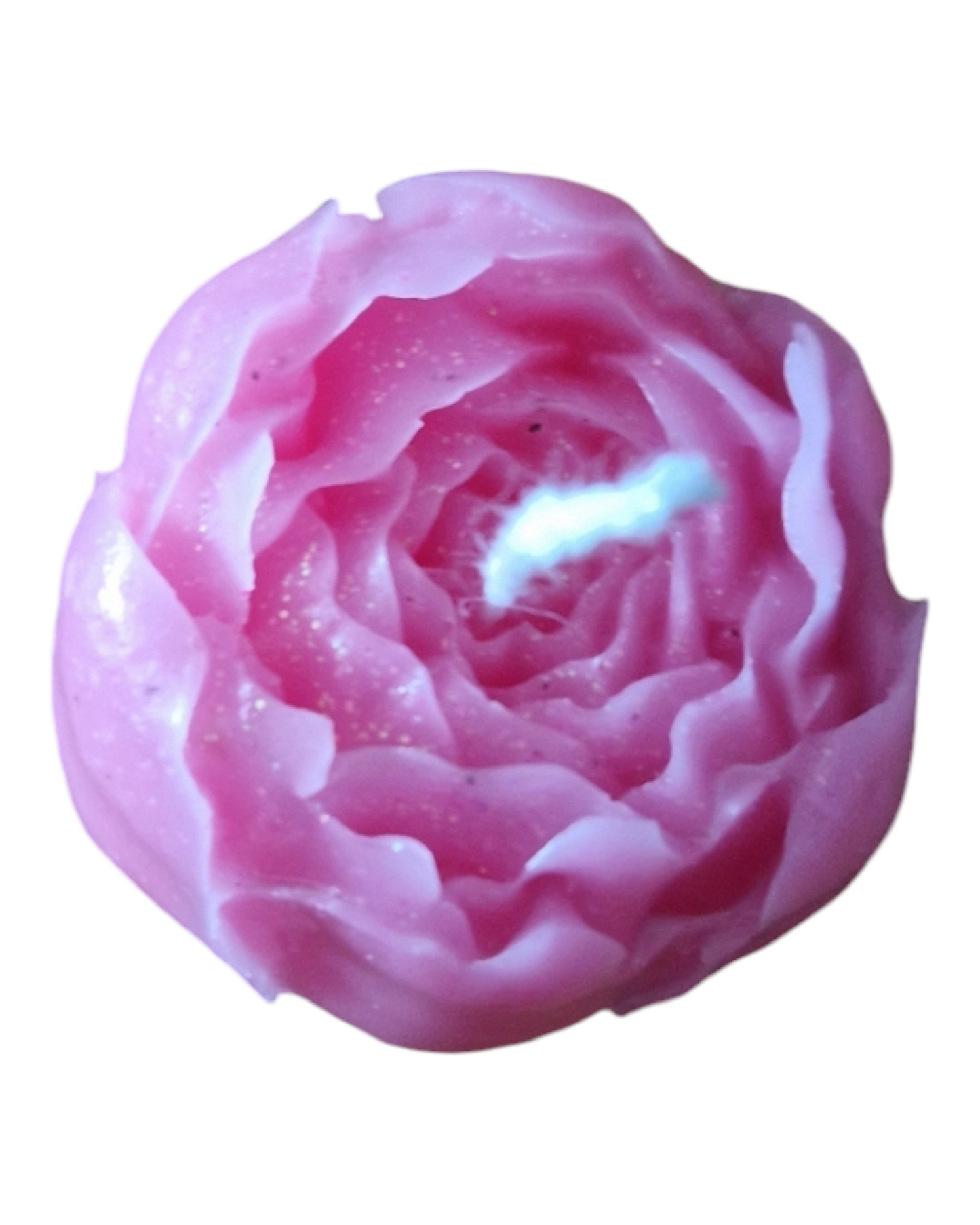 Bouton de rose