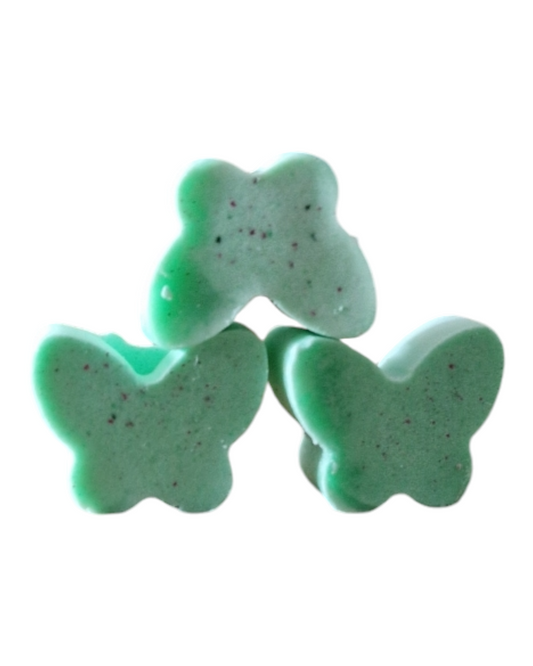Papillon taille S lot 50gr