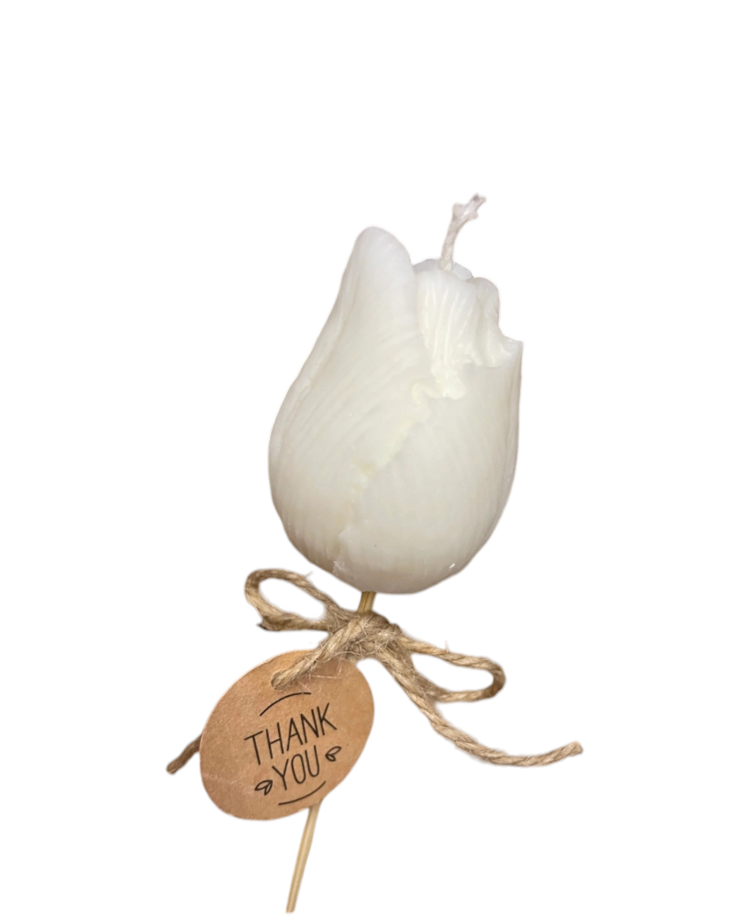 Tulipe