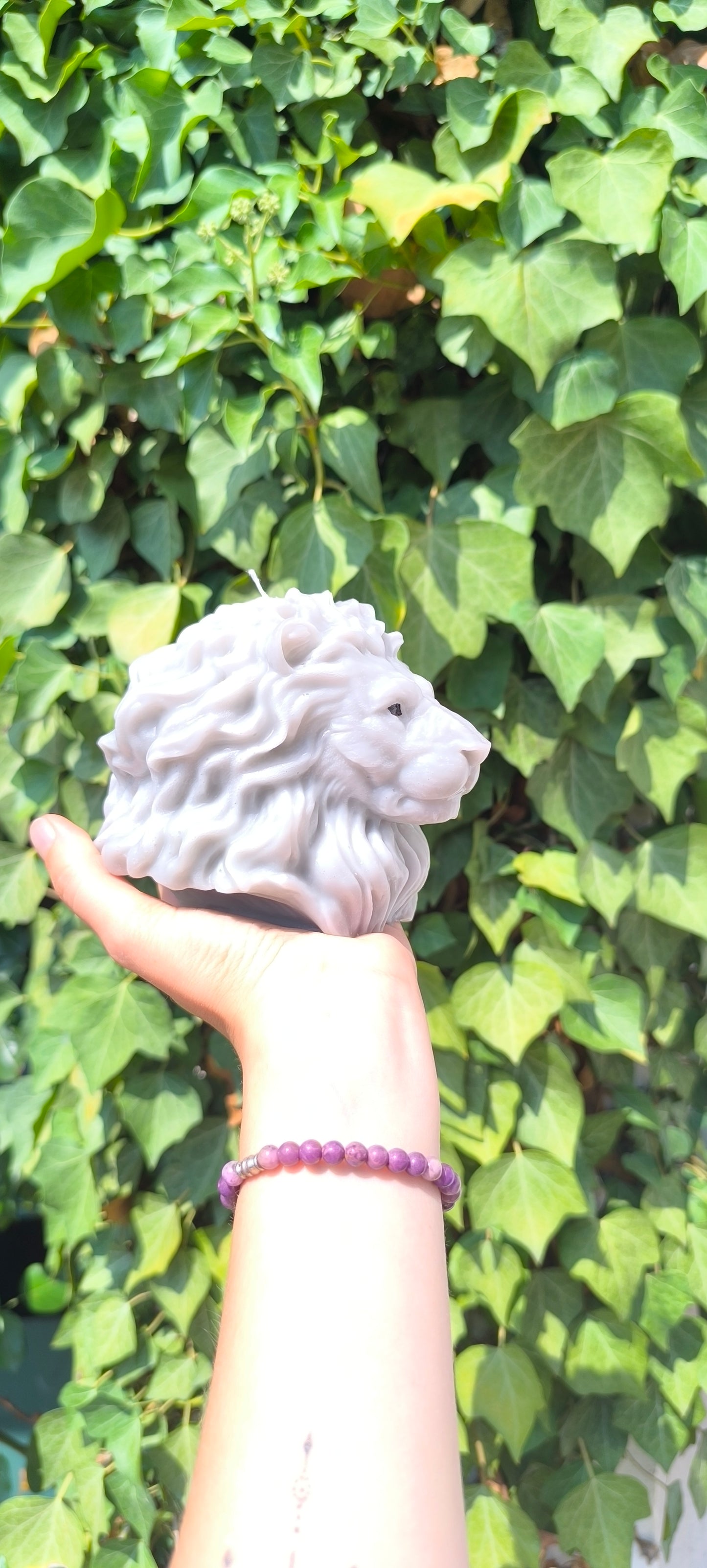 Tête de lion
