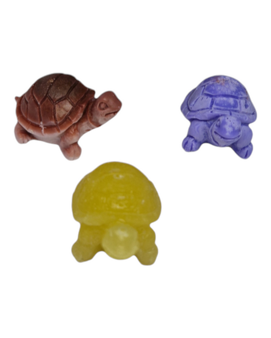 Petite tortue