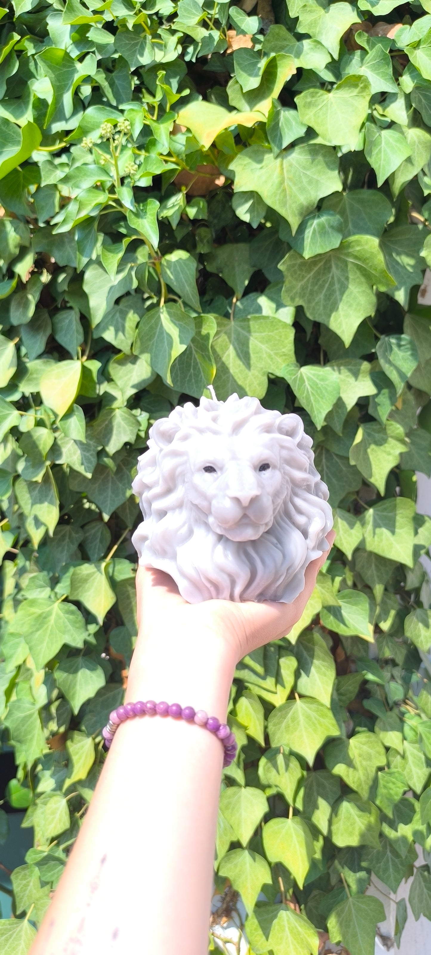Tête de lion