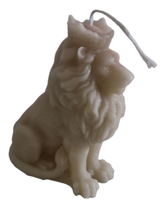 Le roi des lion