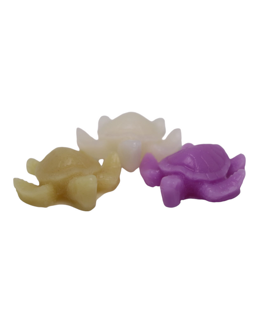 Les petites tortues